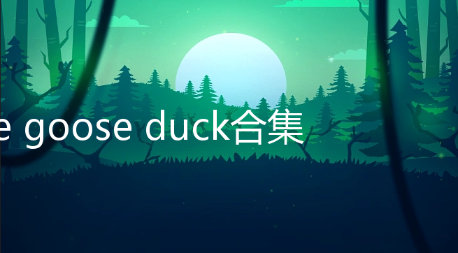 goose goose duckר